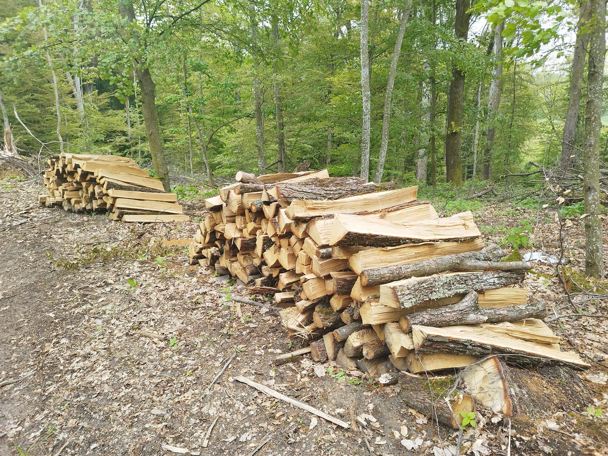 Kako se griju građani BiH, dominiraju cjepanice