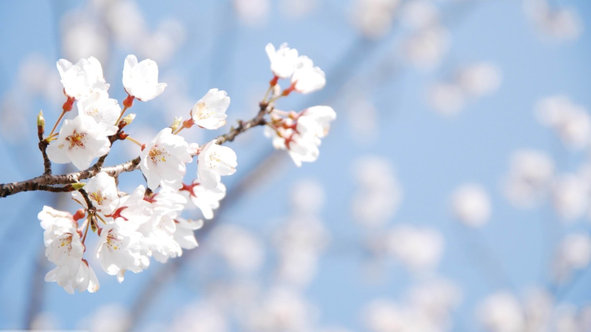 Danas ‘udara’ prvo džemre: Znate li šta to znači?