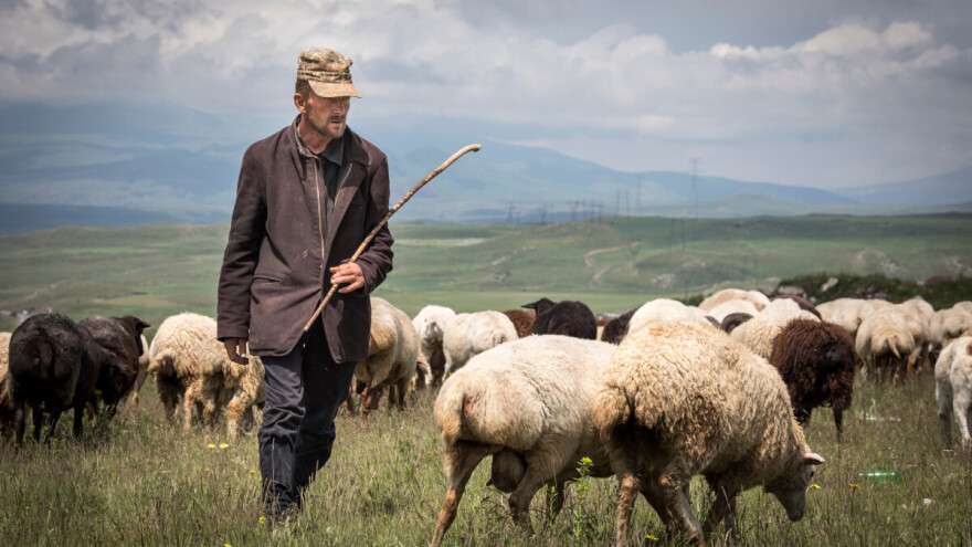 Bruceloza i dalje prijetnja stočarima u ZDK