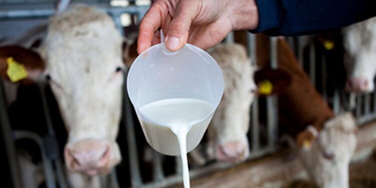 Cijena mlijeka u BiH mogla bi dostići 3 KM, mljekari poručuju da je taj scenarij neizbježan