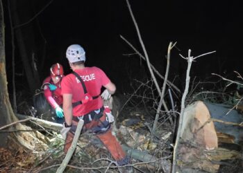 Mladić smrtno stradao izvodeći šumske radove kod Žepča