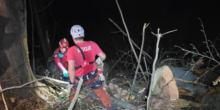 Mladić smrtno stradao izvodeći šumske radove kod Žepča