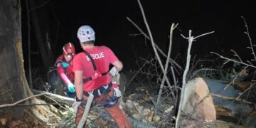 Tragedija kod Žepča: Mladić poginuo tokom radova u šumi