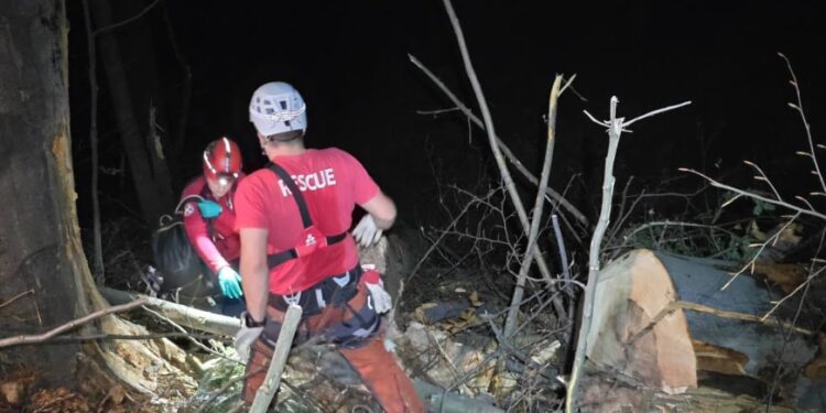 Tragedija kod Žepča: Mladić poginuo tokom radova u šumi