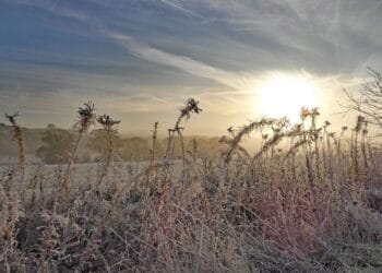 Meteorolozi najavljuju sibirsku oluju u februaru