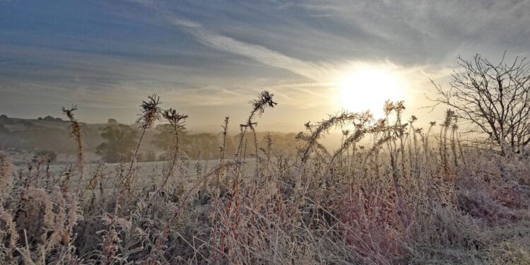 Meteorolozi najavljuju sibirsku oluju u februaru