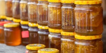 Mladić (22) upao u trgovinu iza ponoći i ukrao 12 tegli meda