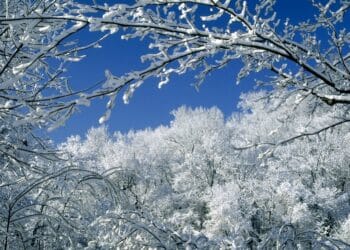 Za vikend blago zahlađenje pa nagli porast temperatura