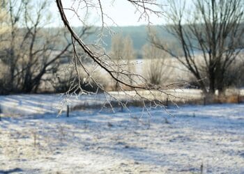 Stiže nam snijeg i niže temperature