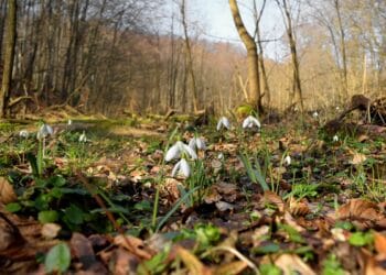 Vremenska prognoza za naredna tri dana u BiH
