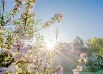 Temperature u BiH do 18 stepeni