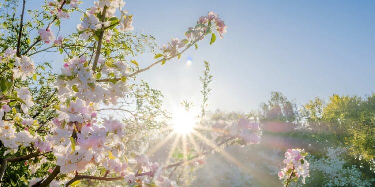 Temperature u BiH do 18 stepeni